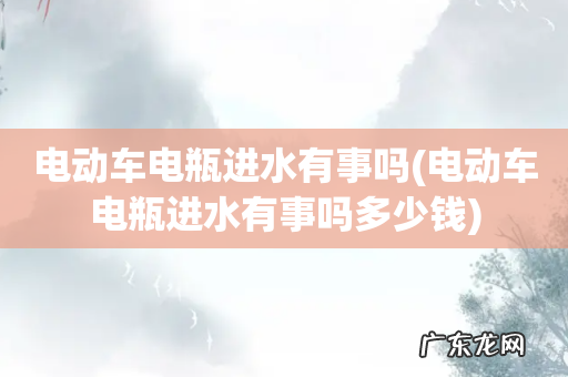 电动车电瓶进水有事吗多少钱 电动车电瓶进水有事吗