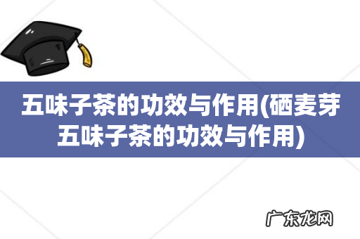 硒麦芽五味子茶的功效与作用 五味子茶的功效与作用