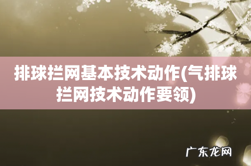 气排球拦网技术动作要领 排球拦网基本技术动作