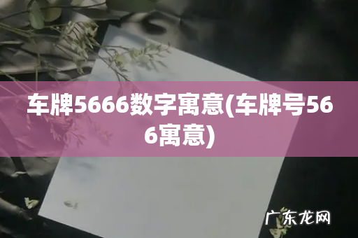 车牌号566寓意 车牌5666数字寓意
