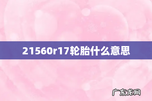 21560r17轮胎什么意思