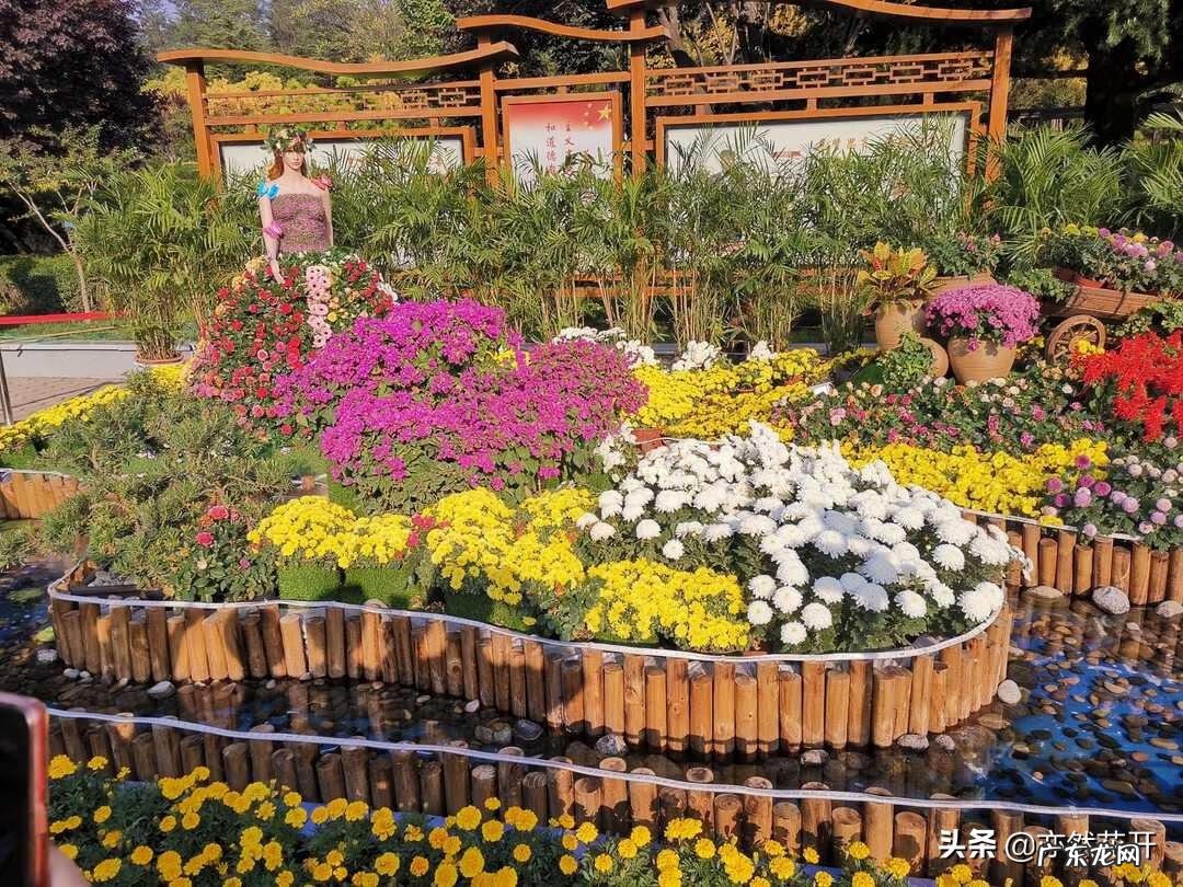 积极的生活态度的好处 积极的生活态度是什么