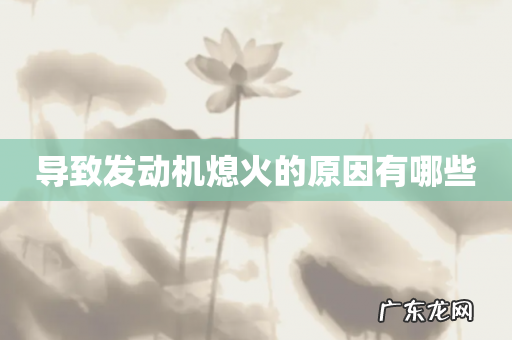 导致发动机熄火的原因有哪些