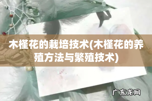 木槿花的养殖方法与繁殖技术 木槿花的栽培技术