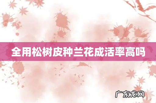 全用松树皮种兰花成活率高吗