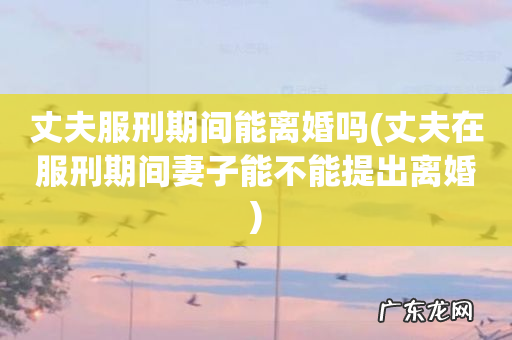 丈夫在服刑期间妻子能不能提出离婚 丈夫服刑期间能离婚吗