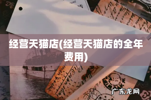 经营天猫店的全年费用 经营天猫店