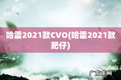 哈雷2021款肥仔 哈雷2021款CVO