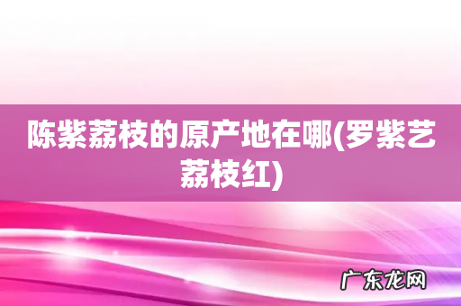罗紫艺荔枝红 陈紫荔枝的原产地在哪