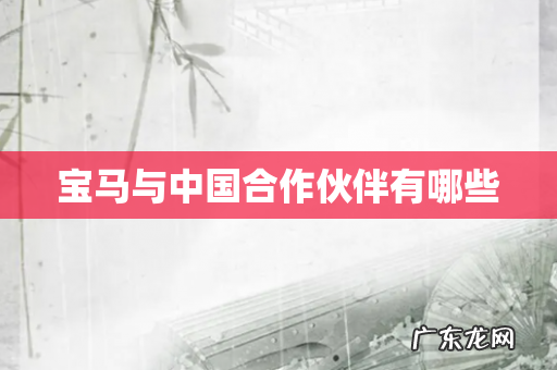 宝马与中国合作伙伴有哪些