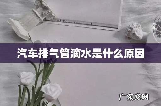 汽车排气管滴水是什么原因