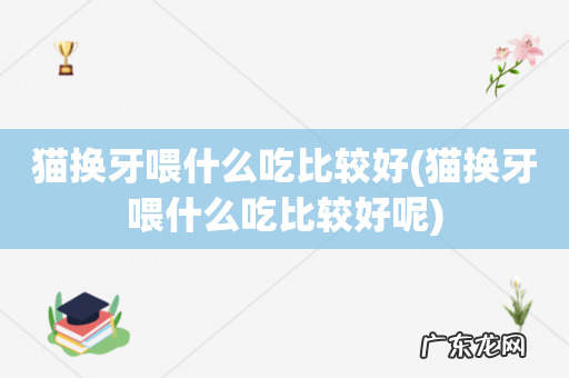 猫换牙喂什么吃比较好呢 猫换牙喂什么吃比较好