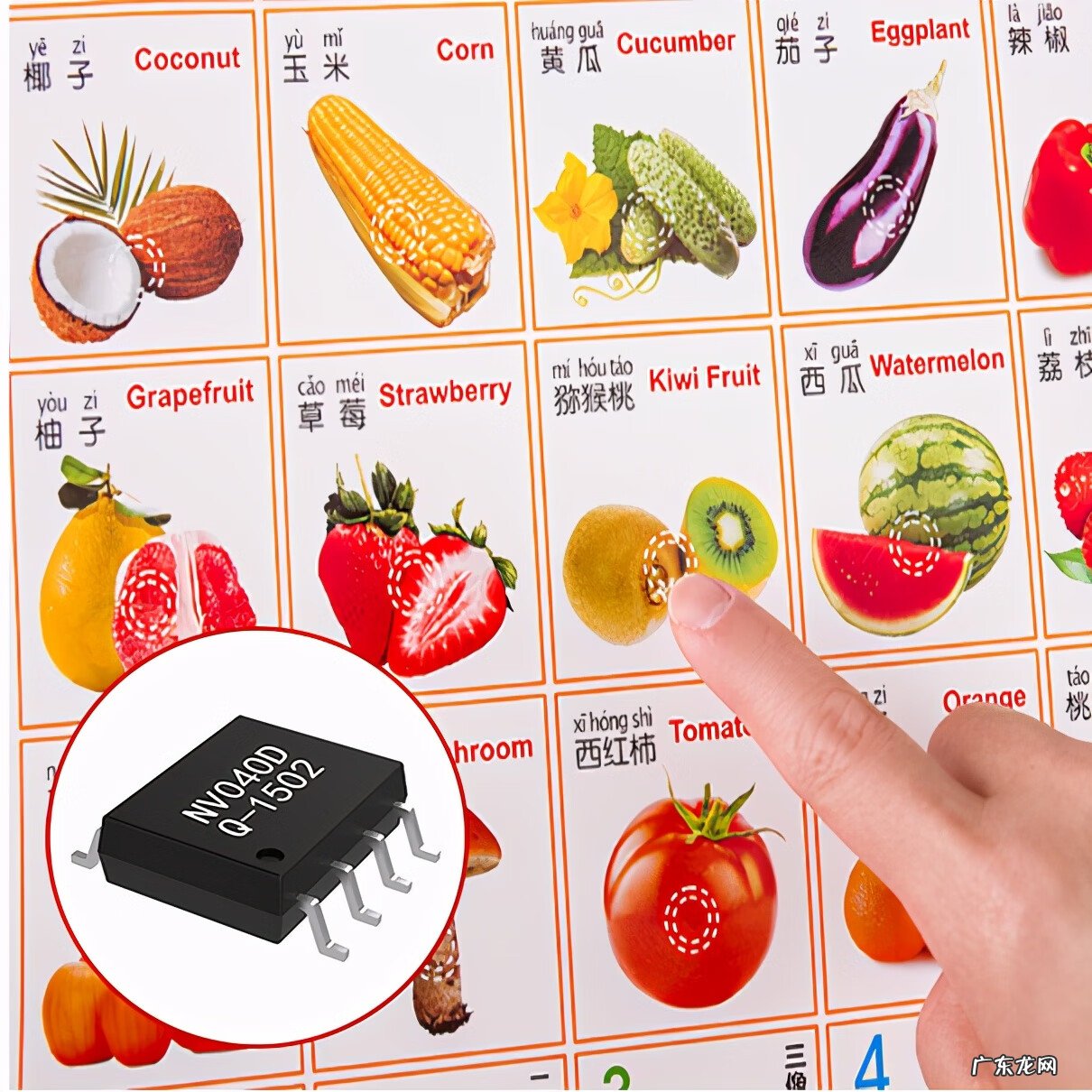 有声挂图汉字 有声挂图原理