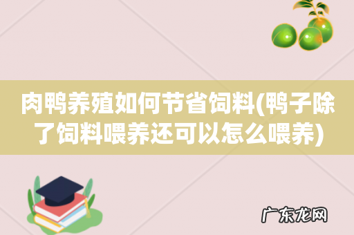 鸭子除了饲料喂养还可以怎么喂养 肉鸭养殖如何节省饲料
