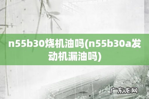 n55b30a发动机漏油吗 n55b30烧机油吗