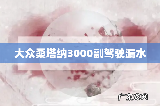 大众桑塔纳3000副驾驶漏水