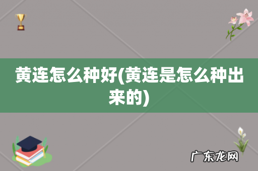黄连是怎么种出来的 黄连怎么种好