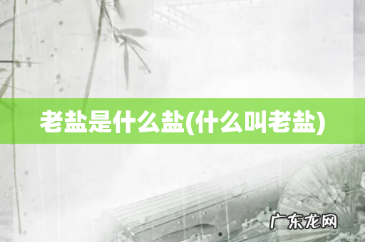 什么叫老盐 老盐是什么盐