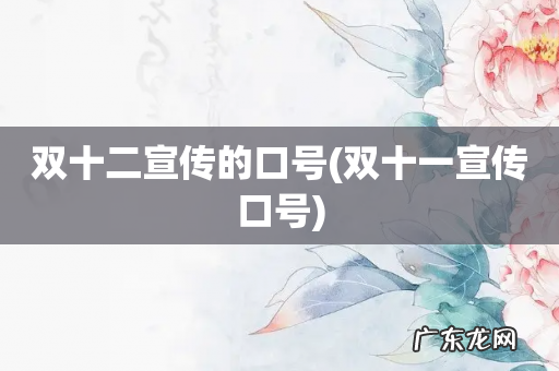 双十一宣传口号 双十二宣传的口号