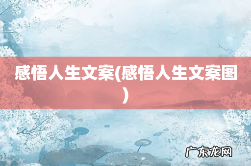 感悟人生文案图 感悟人生文案