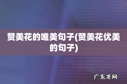 赞美花优美的句子 赞美花的唯美句子