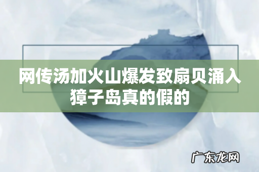 网传汤加火山爆发致扇贝涌入獐子岛真的假的