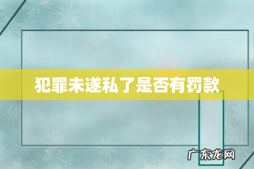 犯罪未遂私了是否有罚款