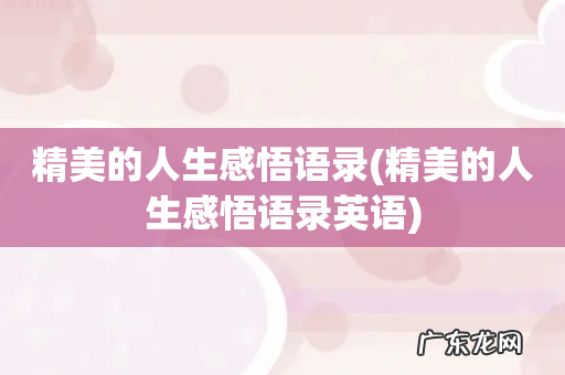 精美的人生感悟语录英语 精美的人生感悟语录