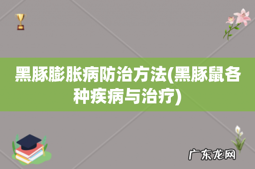 黑豚鼠各种疾病与治疗 黑豚膨胀病防治方法