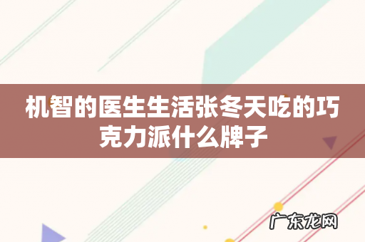 机智的医生生活张冬天吃的巧克力派什么牌子