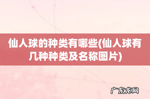 仙人球有几种种类及名称图片 仙人球的种类有哪些