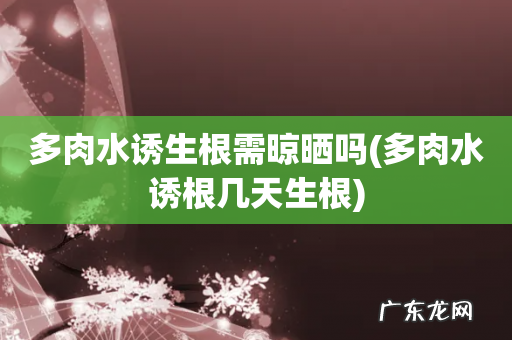 多肉水诱根几天生根 多肉水诱生根需晾晒吗