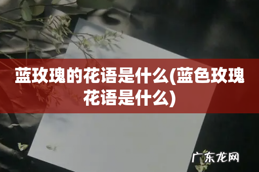 蓝色玫瑰花语是什么 蓝玫瑰的花语是什么