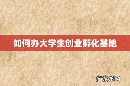 如何办大学生创业孵化基地