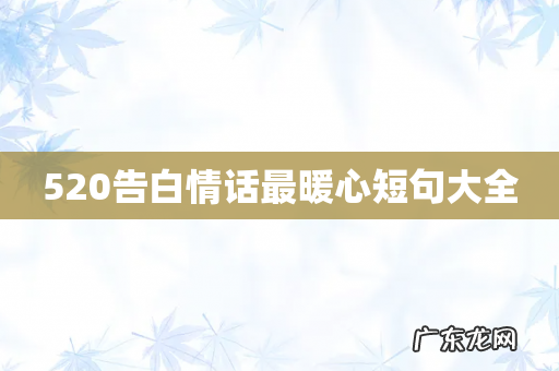 520告白情话最暖心短句大全