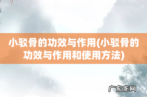 小驳骨的功效与作用和使用方法 小驳骨的功效与作用