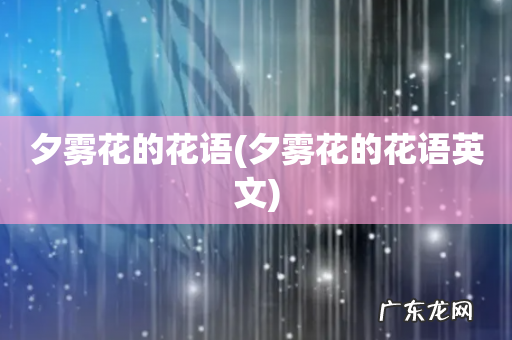夕雾花的花语英文 夕雾花的花语
