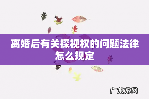 离婚后有关探视权的问题法律怎么规定