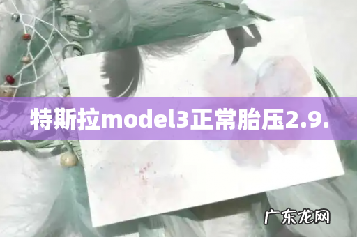 特斯拉model3正常胎压2.9.