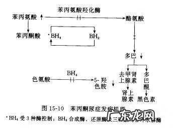 苯丙酮尿症最新突破 苯丙酮尿症治疗方法