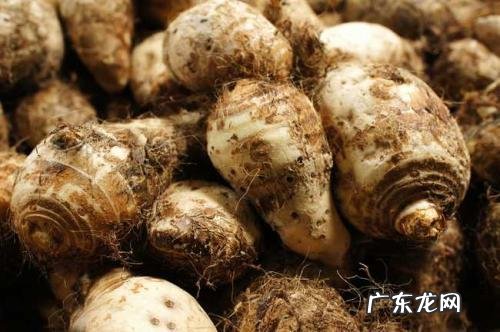 芋头的作用和功效 芋头的营养价值有哪些