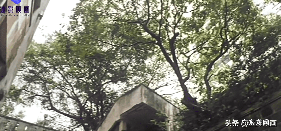 李居明图解佛经易经 李居明 学风水第一本书