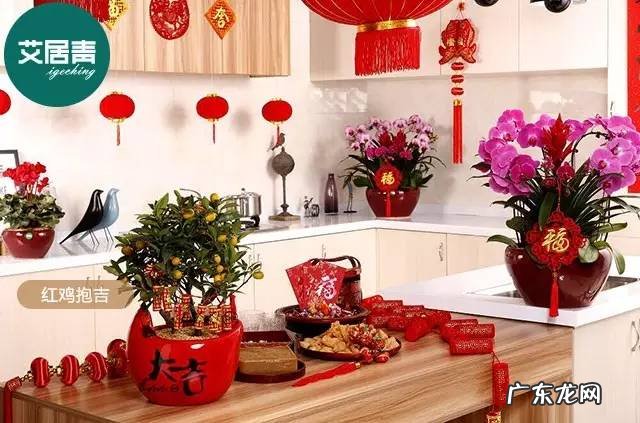 麦玲玲发丰风水