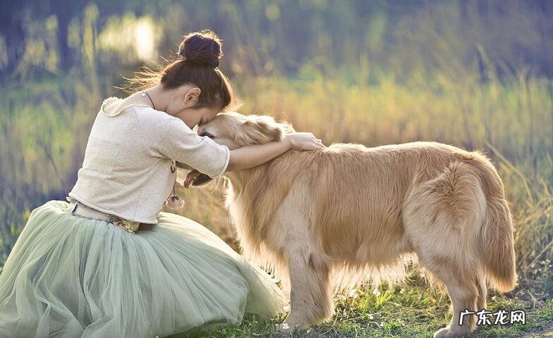 什么人不适合养狗风水 什么样的狗不能养风水