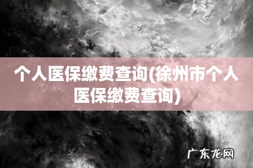 徐州市个人医保缴费查询 个人医保缴费查询