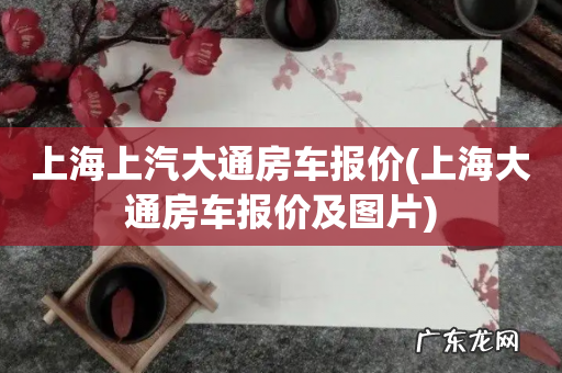 上海大通房车报价及图片 上海上汽大通房车报价