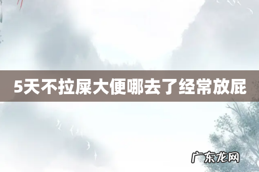 5天不拉屎大便哪去了经常放屁