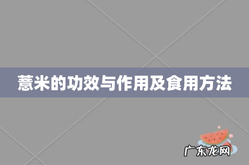 薏米的功效与作用及食用方法