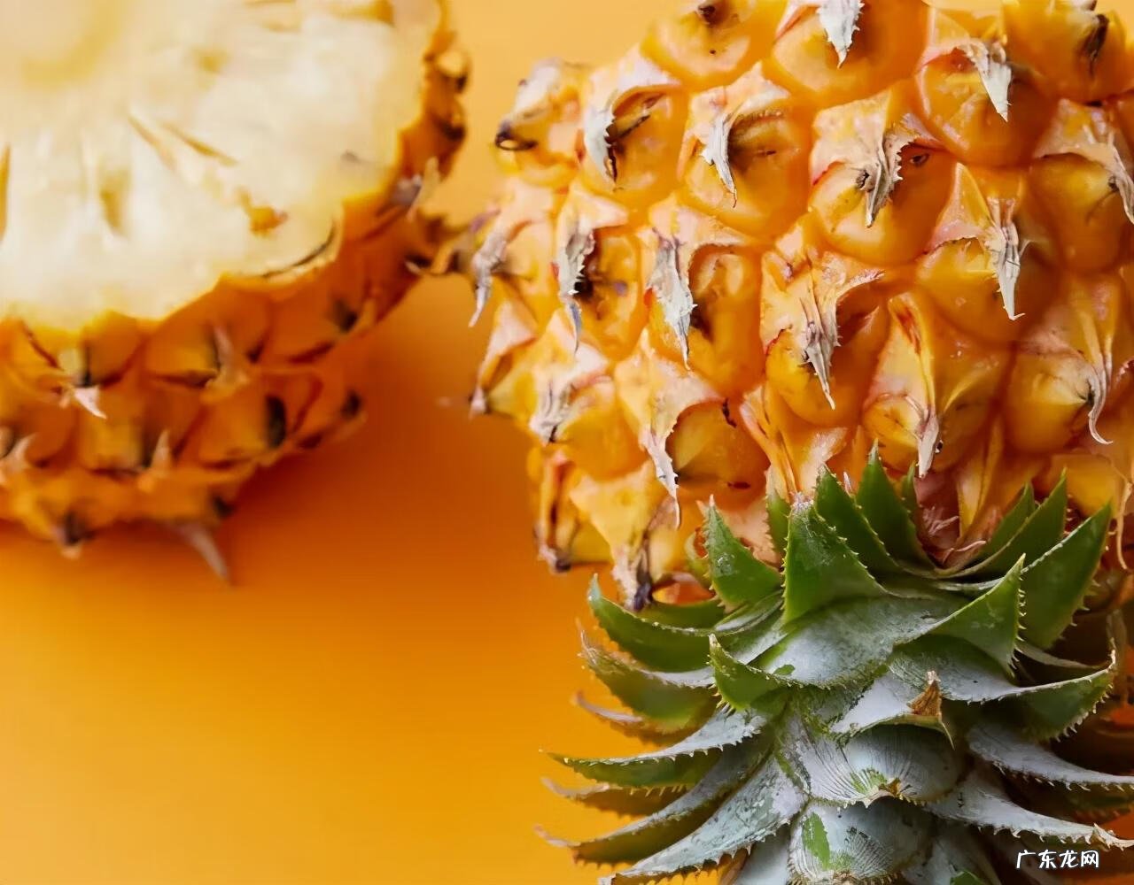 葡萄的英语单词是什么 葡萄的英语单词叫什么