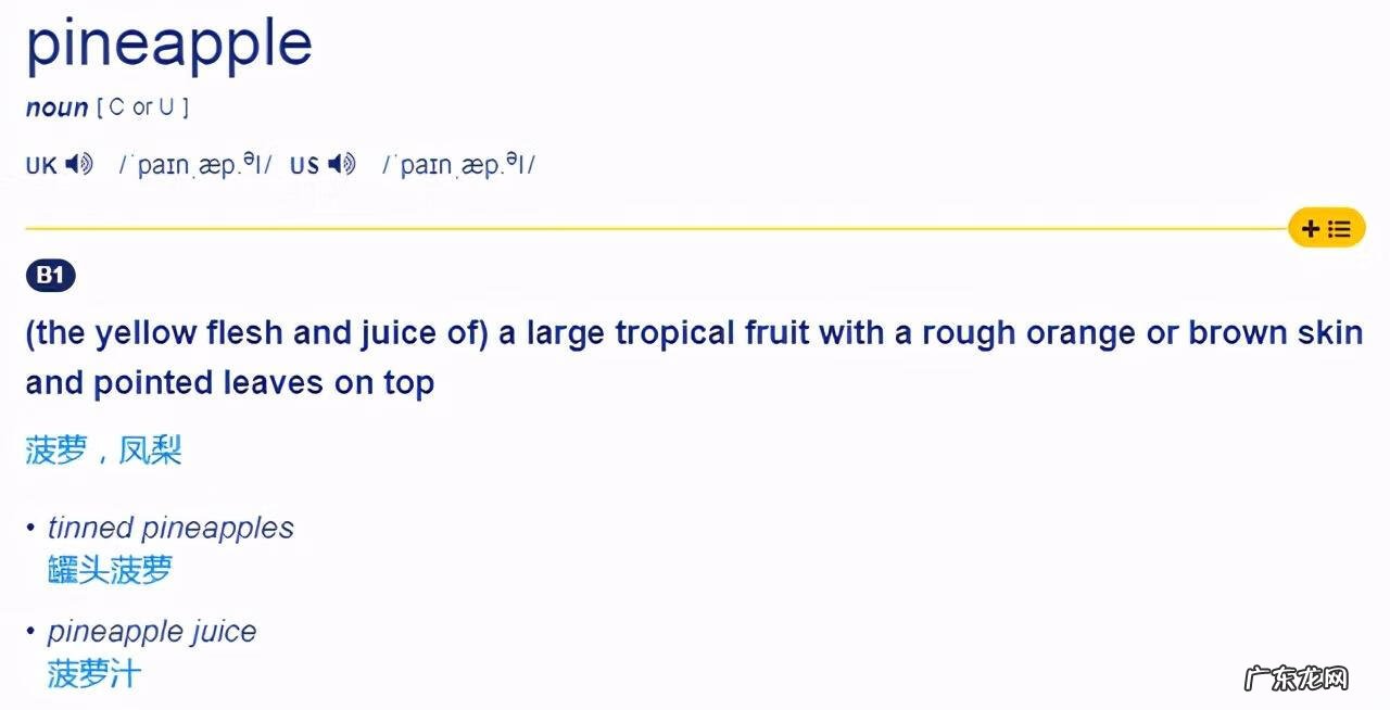 葡萄的英语单词是什么 葡萄的英语单词叫什么